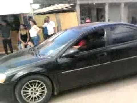 TEPICA LA MELAZA 04 Y PERRUCHI DE TRA DE LA CAMARA DE ETO E PAQUE TE CURE