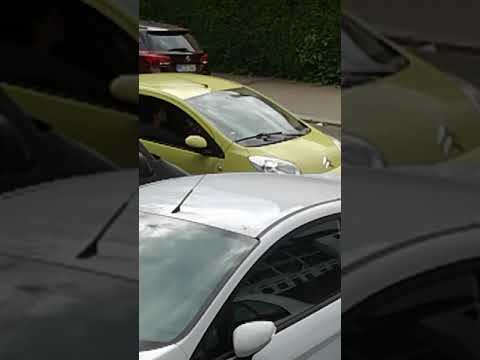 Harter Tauben Street Fight 🚑🚑