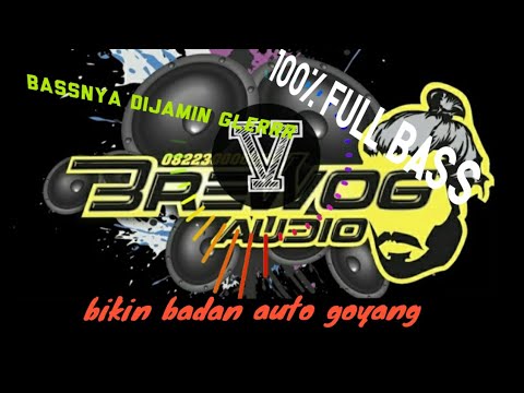 TERBARU!!!! DJ BREWOG AUDIO | Don't Watch Me Cry | Alpi bourigan