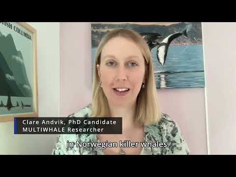 Elida – the poisoned whale