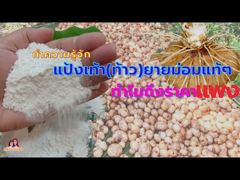 ��ԡ���ʹ٤�Ի�Դ���