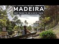 7 Days In Madeira The Best Things To Do Travel Guide And Inspiration
