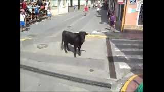 preview picture of video '-Toros de Paiporta (Valencia)- 27/09/14 -'