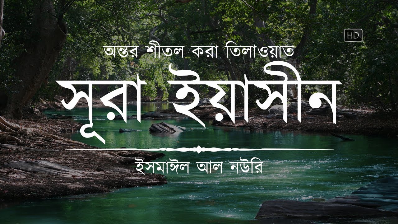 (New) অন্তর শীতল করা সূরা ইয়াসিন এর তিলাওয়াত ┇ Surah Yasin Recited by Ismail An Nouri ┇An Nafee