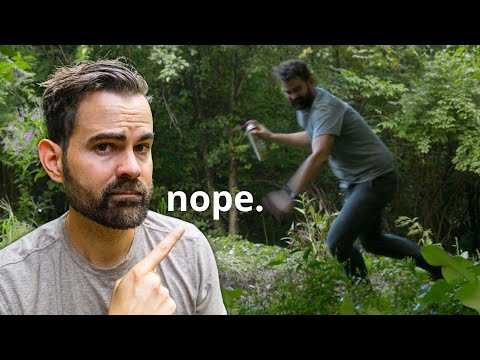 How to kill yellow jacket wasps with Dawn dish soap + what to avoid