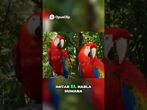 ¿Qué es GV Comunicación para nosotros? #cuidandoperros #salirenprensa #veterinariodeconfianza