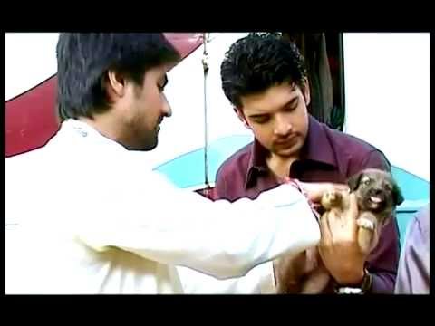 Harshad Additi and Karan with Puppies