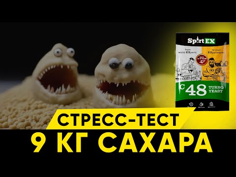 Миниатюра: Стресс тест дпрожжей SpirtEX C48