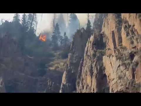 Colorado Wildfire - August 2015 - Plant B