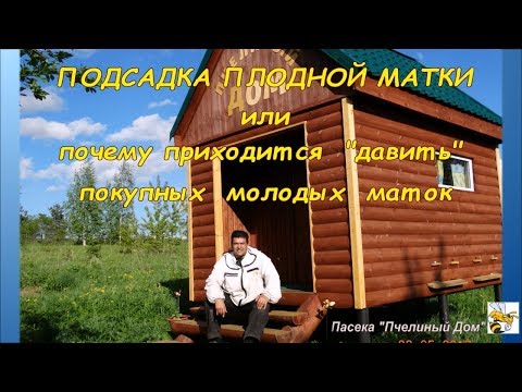 НЕ ПОКУПАЙТЕ ПЧЕЛОПАКЕТЫ С УЗБЕЧКОЙ. ЗАМЕНА МАТКИ В ПЧЕЛОПАКЕТЕ С УЗБЕЧКОЙ.