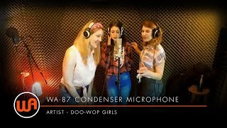 Warm Audio // The Doo-Wop Girls 