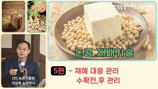 [논콩재배 5강] "올해 콩 농사 망치기 싫다면? 기상 이변에 따른 응급 처치법과 고품질 콩 수확을 위한 적…