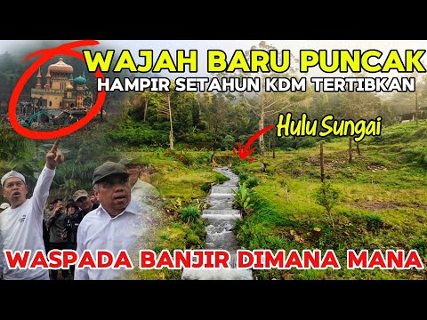 WAJAH BARU PUNCAK SETELAH EX HIBISC DI BONGKAR INI FAKTA NYA HAMPIR SETAHUN BERLALU