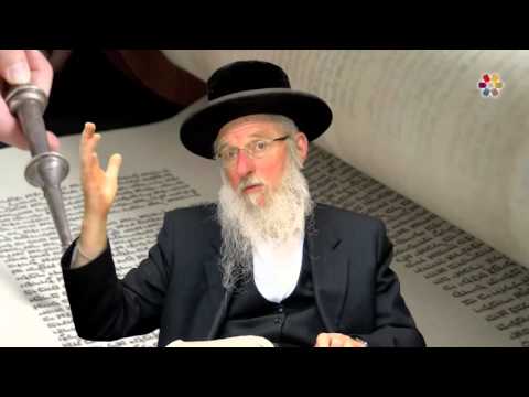 Rabbi Dr. David Gottlieb - Studies in Chumash: The Torah is True