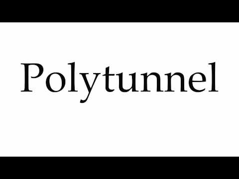 How to Pronounce Polytunnel
