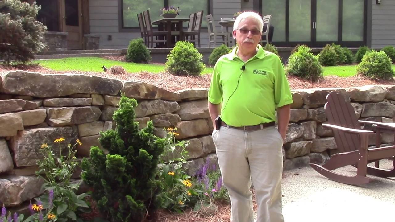 Buncombe County Residence