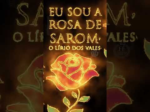 Rosa de Fogo ( Jesus a Rosa de saron )🌹     #jesus #compartilhe