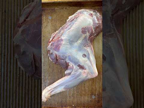 Smoked deer shoulder! #bbq #venison #smokedmeat #cooking #recipe