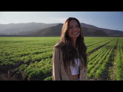 Video thumbnail for Rolling Stone