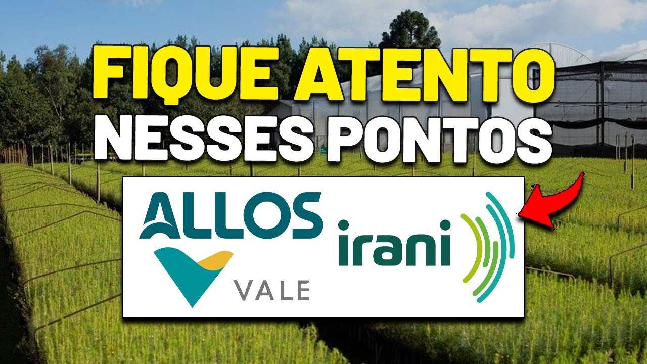 OS DIVIDENDOS PODERIAM DESPENCAR PARA QUAL PATAMAR na ALLOS? ETF DIVO11, VALE VALE3 e IRANI RANI3