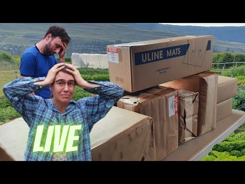 $2700 Of Paper Bags?!? | Marketing Costs | Uline Unboxing