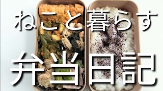 ねこと暮らす前日作り置き弁当日記です