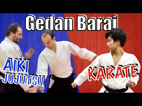 ❌DON'T❌ Turn Your Hips!?!?｜Gedan Barai Aiki-Jujutsu Style
