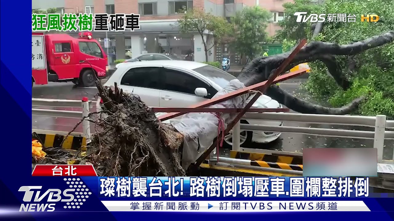 璨樹襲台北!路樹倒塌壓車、圍欄整排倒