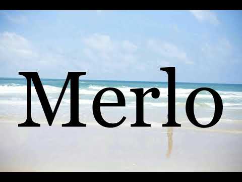 How To Pronounce Merlo🌈🌈🌈🌈🌈🌈Pronunciation Of Merlo