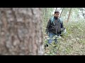 Whatsapp Status Jungle Status Song Nature Status BIKE RIDE STATUS