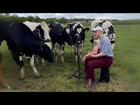 Mann Singt Für Tiere – Und Ihre Herzergreifende Reaktion Wird Dich Verzaubern!