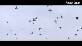 Download lagu Jeon JungKook (BTS) - ENDING SCENE 'Sub Indo' Jungkook with IU FMV mp3 Download lagu Jeon JungKook (BTS) - ENDING SCENE 'Sub Indo' Jungkook with IU FMV mp3