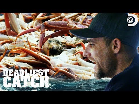 ジェイクはカニのバイオマスを打つ｜致命的なキャッチ (Jake Hits the Crab Biomass | Deadliest Catch)
