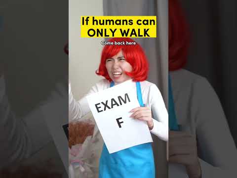 Chapter 68: If Humans Can Only Walk