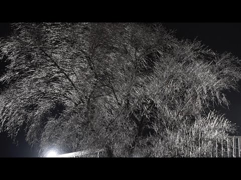 02-23-2022 Jonesboro, AR Ice Storm - Ice Encased Trees - Signs - Vehicles - Drone Accidents