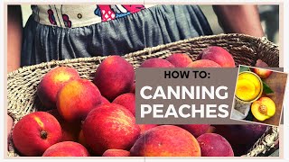 HOW TO CAN PEACHES at  HOME  | No Waste | Canning Peaches without wasting anything!