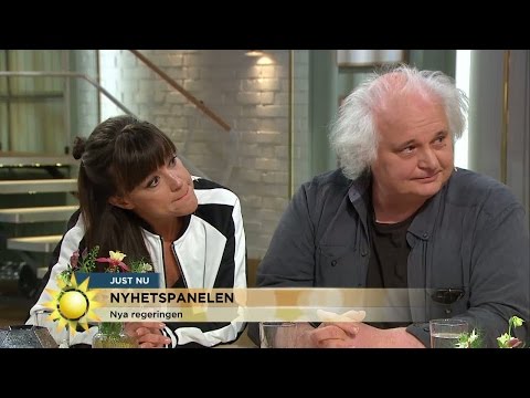 Nyhetspanelen om nya regeringen - Nyhetsmorgon (TV4)