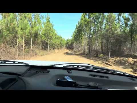 V-10 in the flat woods