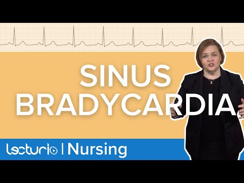 Sinus Bradycardia ECG (EKG) Explained | Med-Surg | Lecturio Nursing