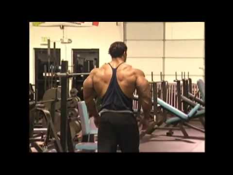 Kevin levrone muscle machine