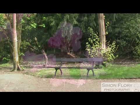 A short history of Towneley Hall, gardens and woodlands in Burnley in Lancashire