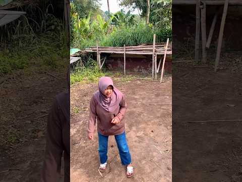 Ternyata rumah bego ada kolam berenang nya #diy #kreatif #viral #art #craft