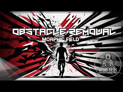 Obstacle Removal - Say Goodbye To Barriers (Morphic Field Programming)