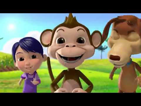 BAILA MONITO - DÓNDE ESTÁ CHOCOLO