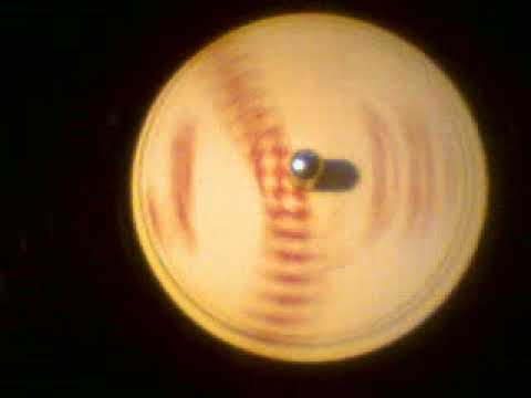 Dicky Doo & The Dont's Click Clack Swan Records 78 4001 1957