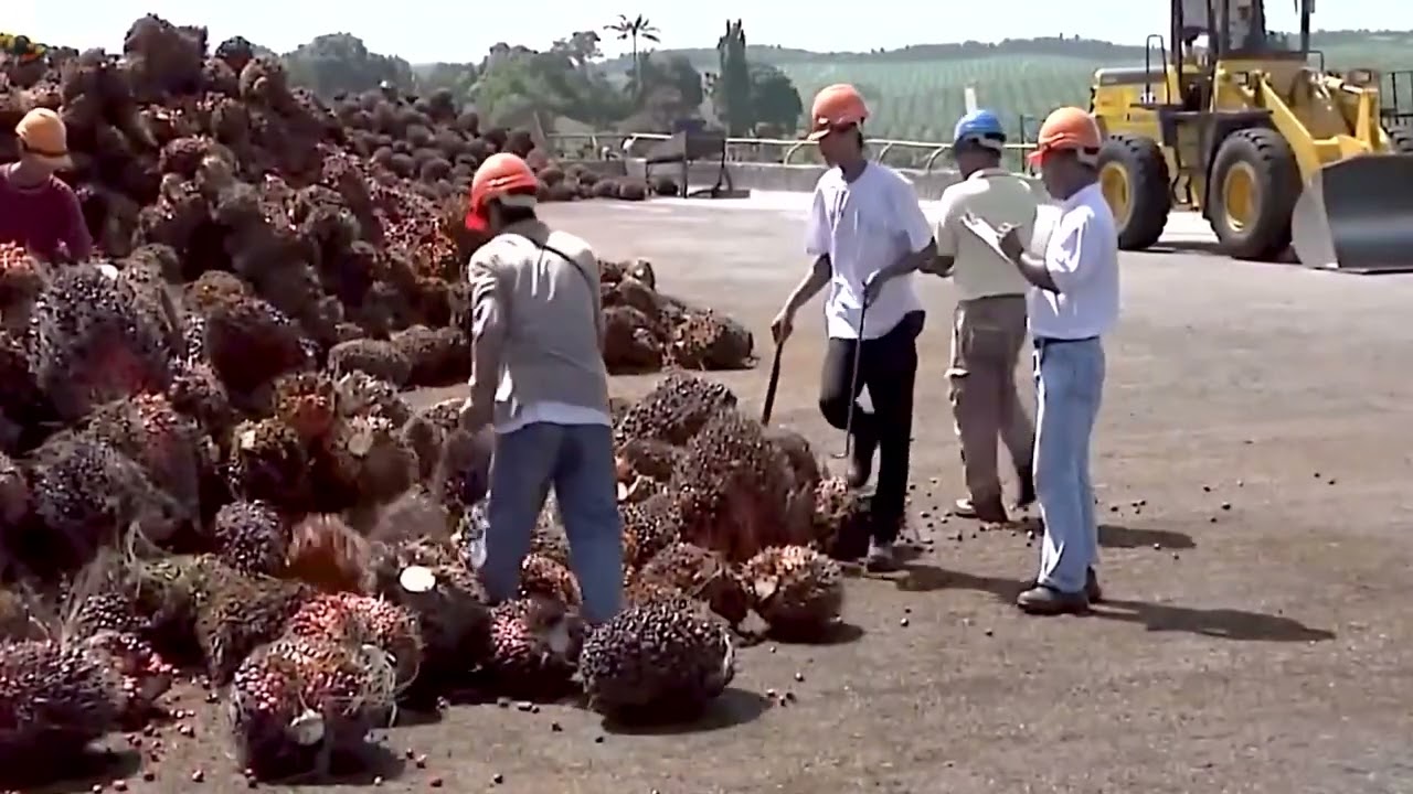 Amazing Videos Modern Food Technology Processing Machines Another Level  96