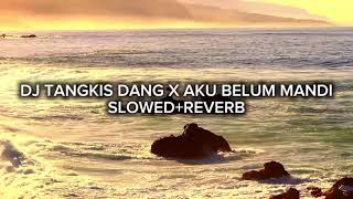 Download lagu DJ TANGKIS DANG X AKU BELUM MANDI SLOWED REVERB BY SOUND EZE KANE  mp3