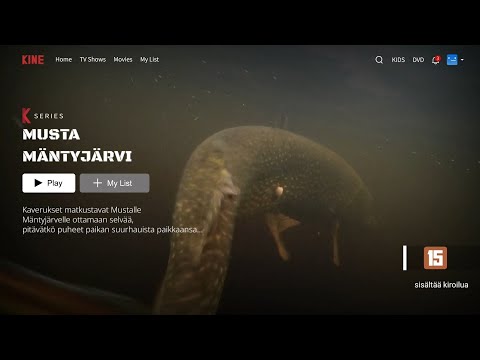 Kalastusta Mustalla Mäntyjärvellä - Upea Suurhaukijärvi Itä-Suomessa - VertsuVeikot