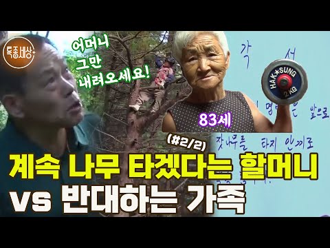 [특종세상] 20m 나무에 계속 오르겠다는 83세 할머니 vs 더 이상은 안된다는 가족 MBN 181005 방송 (#2/2)