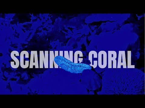 Scanning coral with red and uv light